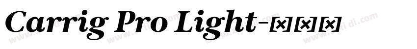 Carrig Pro Light字体转换